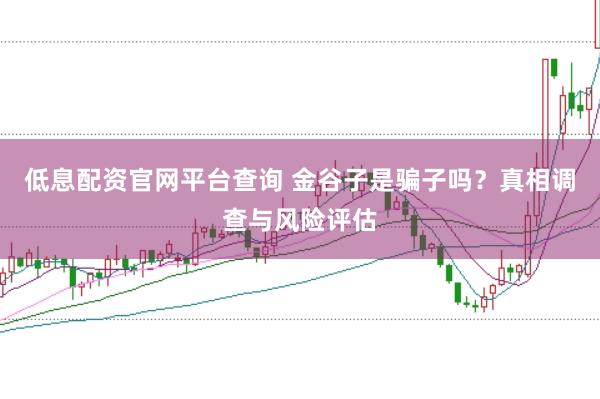 低息配资官网平台查询 金谷子是骗子吗？真相调查与风险评估