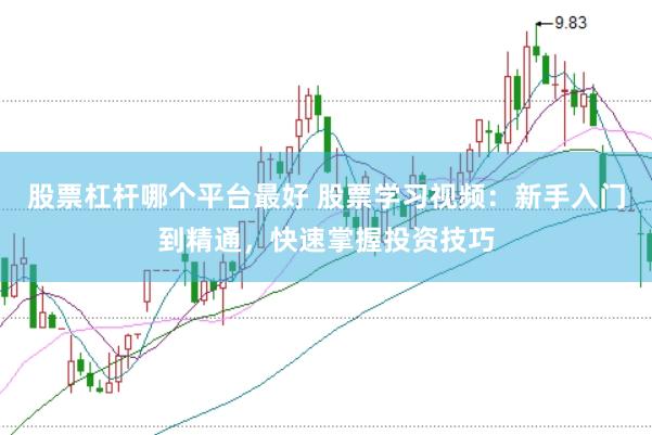 股票杠杆哪个平台最好 股票学习视频：新手入门到精通，快速掌握投资技巧
