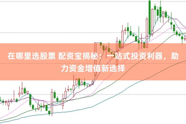 在哪里选股票 配资宝揭秘：一站式投资利器，助力资金增值新选择