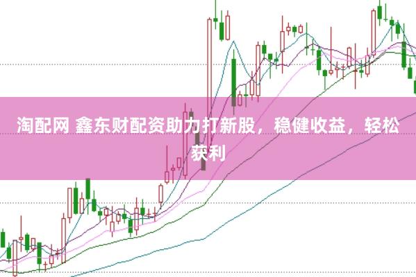 淘配网 鑫东财配资助力打新股，稳健收益，轻松获利