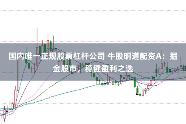 国内唯一正规股票杠杆公司 牛股明道配资A：掘金股市，稳健盈利之选
