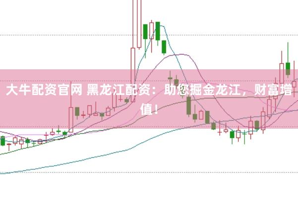 大牛配资官网 黑龙江配资：助您掘金龙江，财富增值！