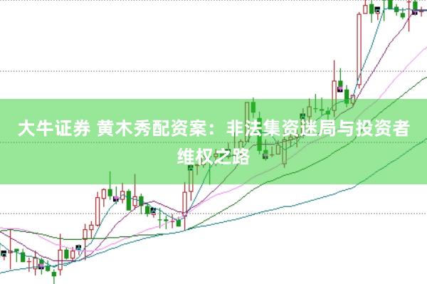 大牛证券 黄木秀配资案：非法集资迷局与投资者维权之路