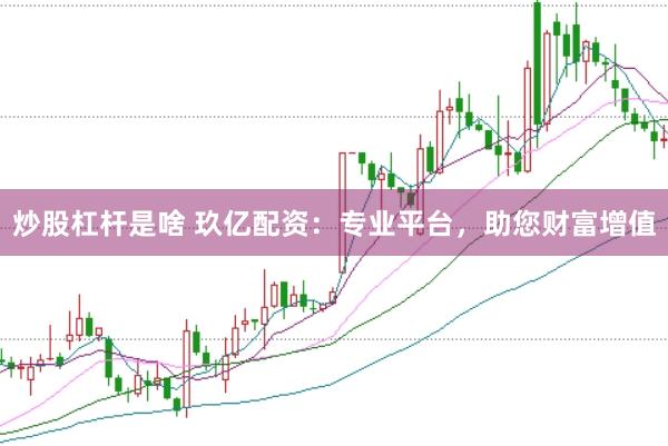 炒股杠杆是啥 玖亿配资：专业平台，助您财富增值