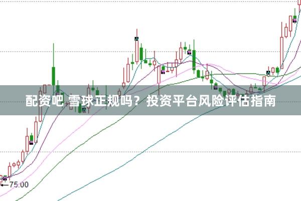 配资吧 雪球正规吗？投资平台风险评估指南