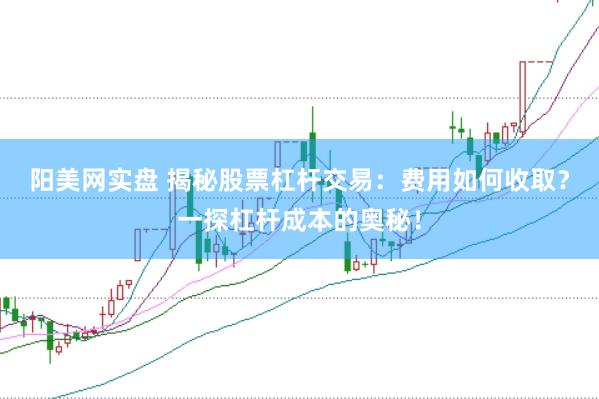 阳美网实盘 揭秘股票杠杆交易：费用如何收取？一探杠杆成本的奥秘！
