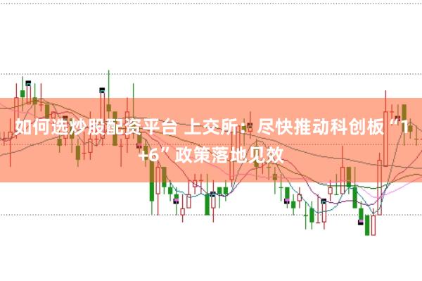 如何选炒股配资平台 上交所：尽快推动科创板“1+6”政策落地见效