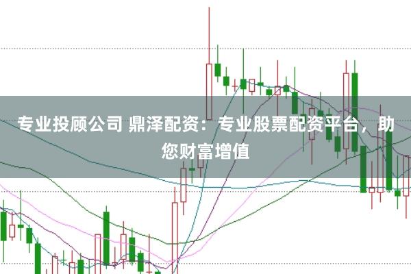 专业投顾公司 鼎泽配资：专业股票配资平台，助您财富增值