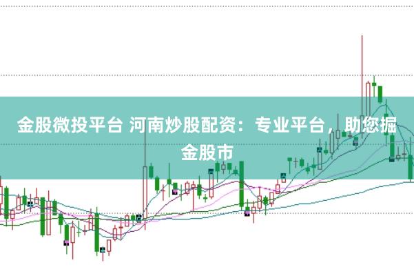 金股微投平台 河南炒股配资：专业平台，助您掘金股市