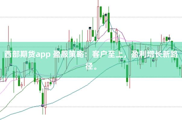 西部期货app 盈服策略：客户至上，盈利增长新路径。