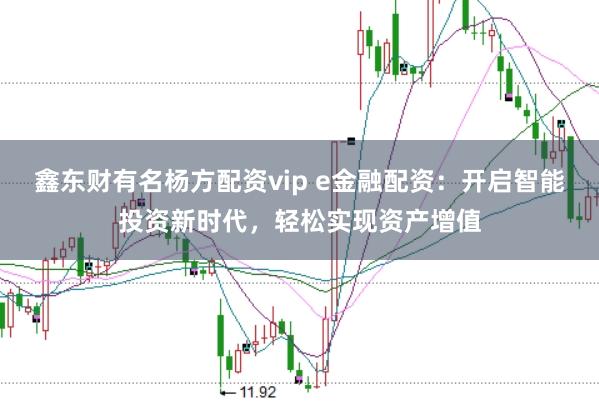 鑫东财有名杨方配资vip e金融配资:开启智能投资新时代,轻松实现资产增值