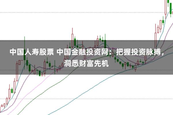 中国人寿股票 中国金融投资网:把握投资脉搏,洞悉财富先机