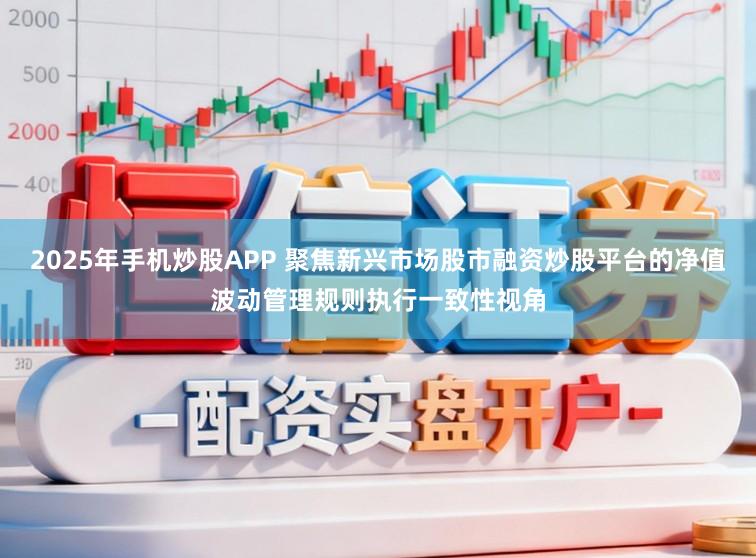 2025年手机炒股APP 聚焦新兴市场股市融资炒股平台的净值波动管理规则执行一致性视角