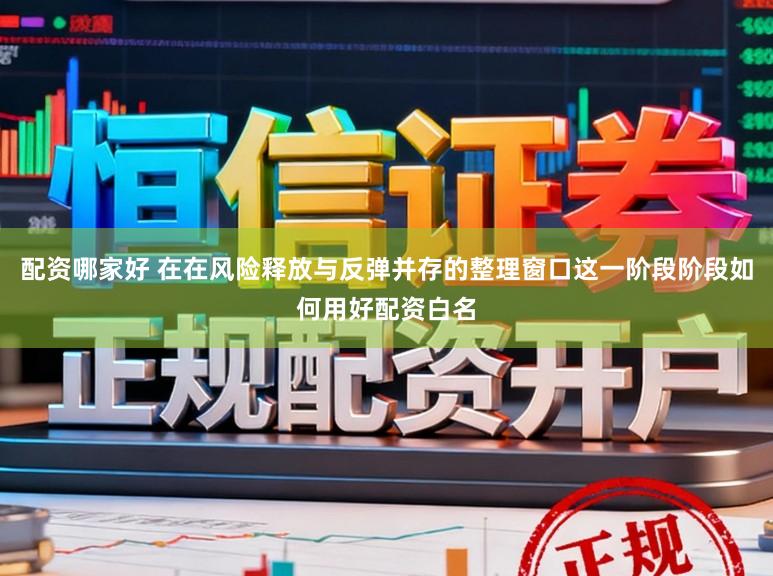 配资哪家好 在在风险释放与反弹并存的整理窗口这一阶段阶段如何用好配资白名
